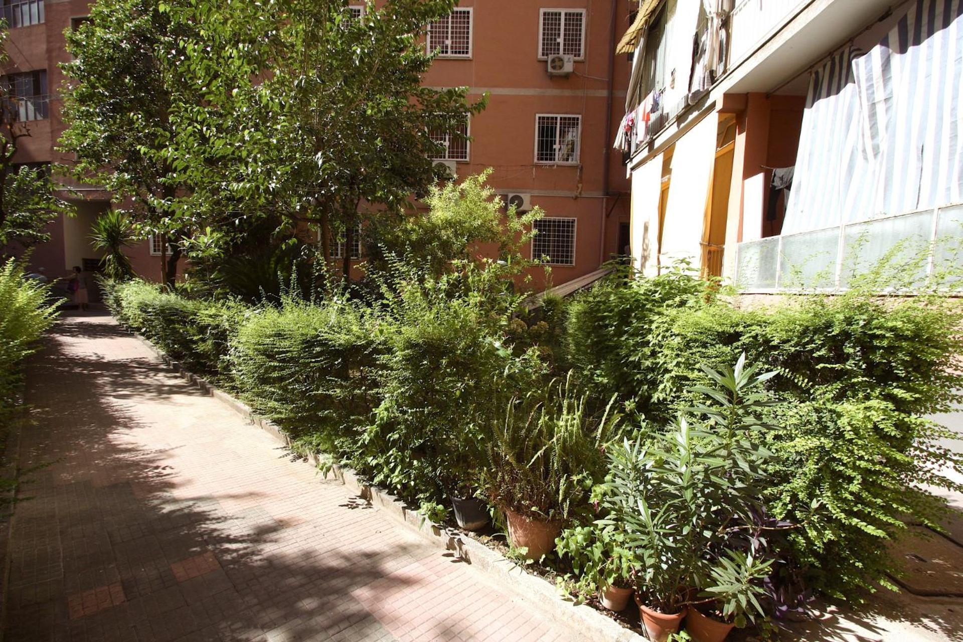 Tana House Apartment *